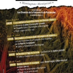 Festival « histoire(s) et patrimoine » 2026